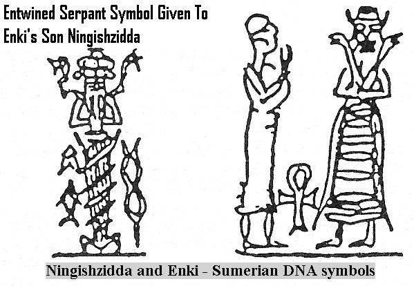 1a-Sumerian-DNA-Symbols-of-Ningishzidda-Enki.jpg