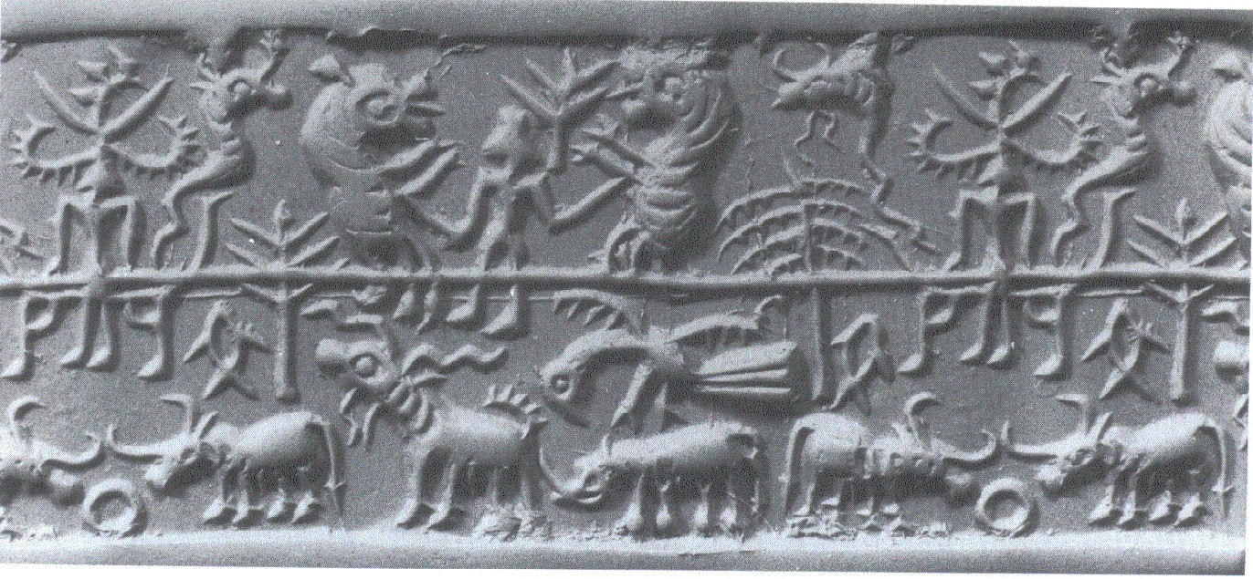 Animals - gods & beasts