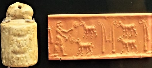 5c - Dunuzi the Shepherd attentively tending to his herds