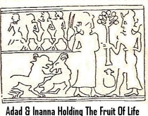 3a - Adad, Inanna, & Fruit Of Life