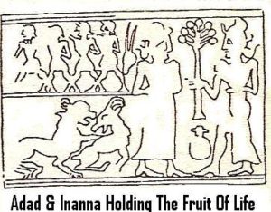 3a-adad-inanna-fruit-of-life
