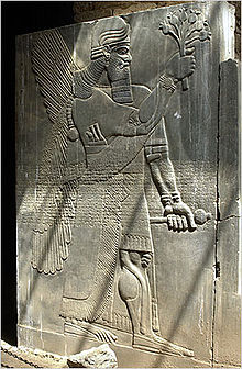8 - Ninurta's city of Nimrud stele, exposes alien knowledge of poppy, artefact was shamefully destroyed by Islam, keeping Muslims ignorant of our 1st records of ancient history