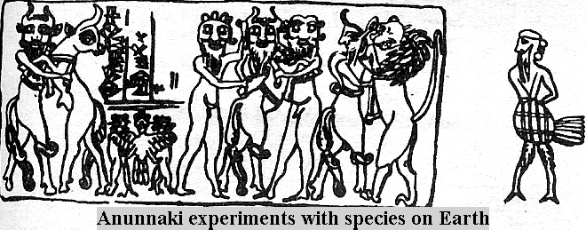 early wild earthlings discovered in the Abzu by Enki, Enki decided to fashion "workers" out of them, as permanent replacements for the gods
