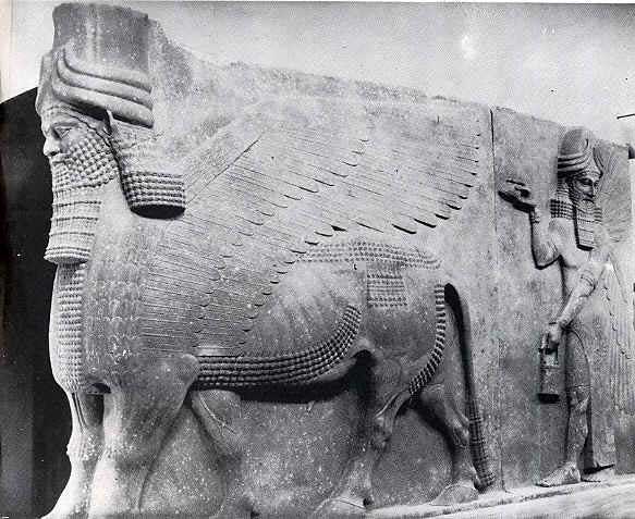 21 - artefact of giant Shedus protect the gates to Mesopotamian cities of the gods, these could have been actual creatures fashioned by Enki & Ningishzidda, these artefacts of the alien gods are shamefully being destroyed by Radical Islam, attempting to eliminate ancient knowledge, evidence that directly contradicts the 7th century A.D. doctrines of Islam