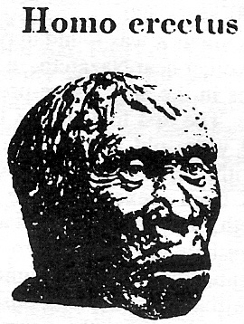 Homo erectus discovered by alien gods who came down, colonized the Earth, & fashioned "modern man" into their image & into their likeness, to be their replacement workers