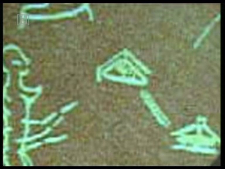 1o - ancient artefact cave painting of sky-ships & an earthling witness, discovered in China, the Chineese Government, like most all governments, strongly deny & keep hidden evidence of the alien visitors