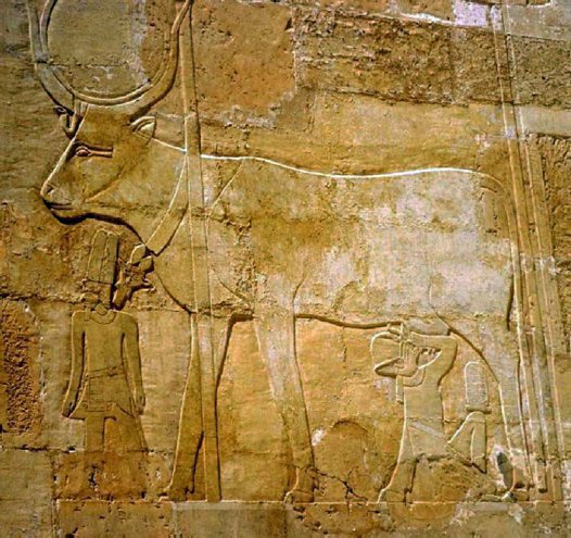 000 - pharaohs suckle the teet of mother of the gods Hathor, the cow