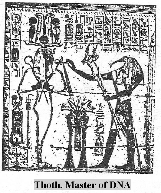 100a - Thoth, Master of DNA, with his horned serpents symbol as staffs
