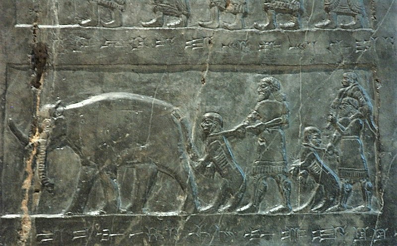 15f - Black Obelisk depicting leashed human-headed dogs