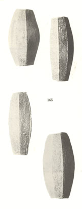 19e - ancient records of deeds of Sargon II & others