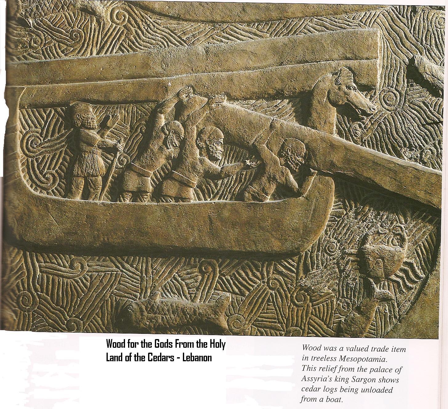19h - Sargon II's coveted cedar wood, used in construction for strength, durability, & fragrance