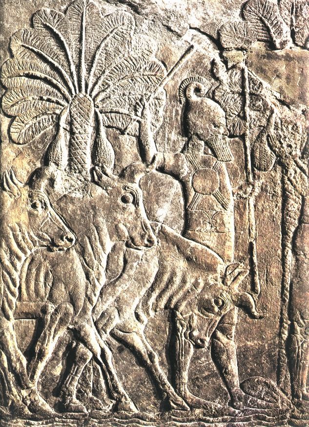 20j - King Sennacherib relief, a scene from our distant past long forgotten