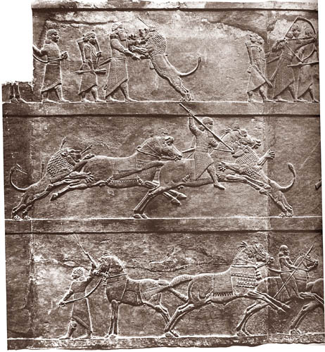 21t - King Ashurbanipal hunting a lion
