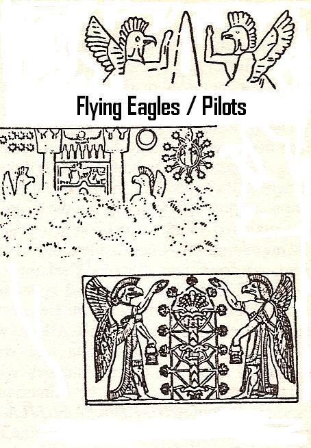 21 - Flying Eagles, Pilots