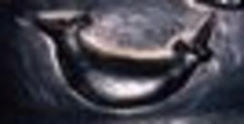 53 - Nuska's symbol of an ancient Oil Lamp