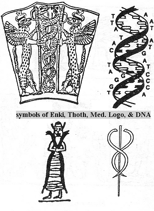 3 - DNA Medical Symbol, Ningishzidda & his symbol; DNA mixing will be needed to fashion a worker race