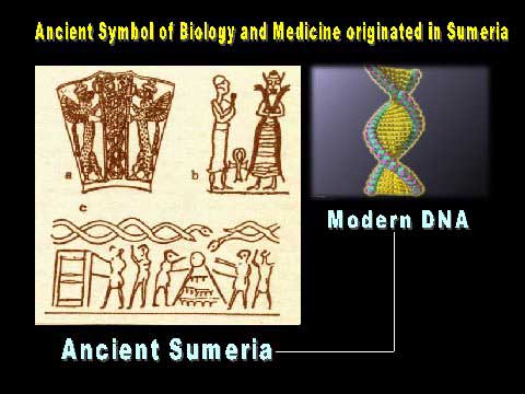 4 - Ningishzidda was given entwined serpents as his DNA specialist symbol