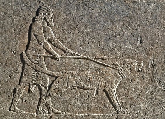 dogs used in ancient hunts