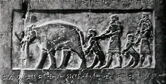 elephants found to be useful in ancient Mesopotamia