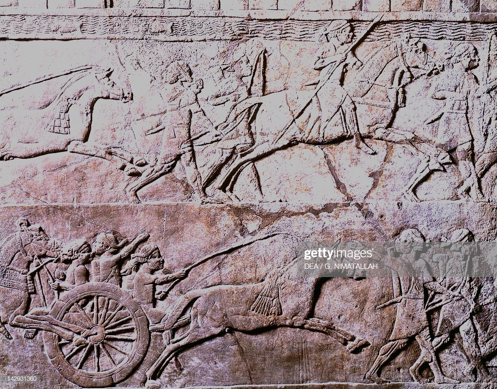 horses used in ancient wars