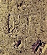 33 - Rocket atop Mushhushshu, symbols of Marduk on a brick