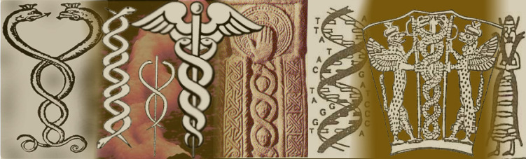 6 - DNA symbols