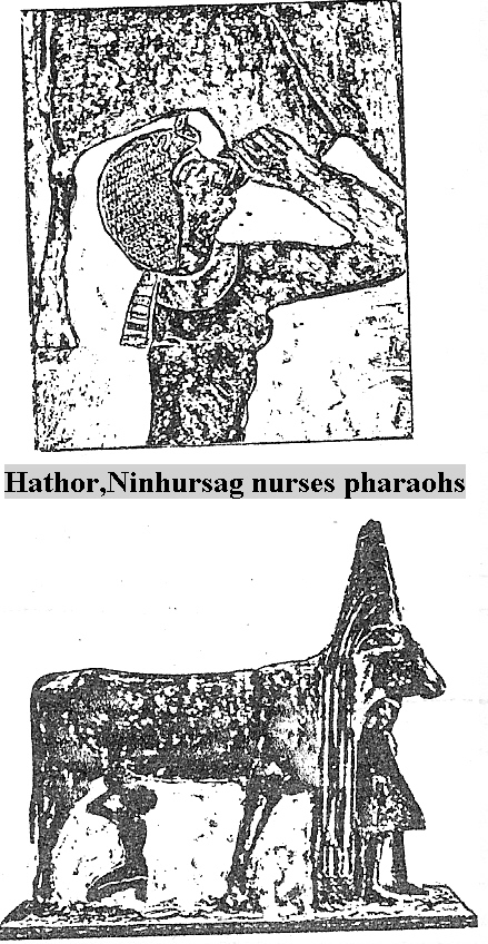 25b - Hathor the old mother cow goddess nursing pharaohs, as the gods nursed from Ninhursag, pharaohs acted as if they too were so privileged