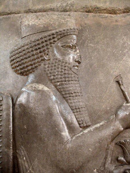 2 - Darius I, protected semi-divine by the gods